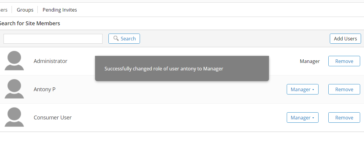 PublicSite1 role to manager